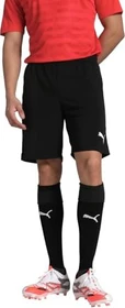 Puma TeamRISE Shorts Hose kurz schwarz (Herren)