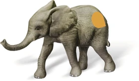 Ravensburger tiptoi Spielfigur: Afrikanisches Elefantekalb