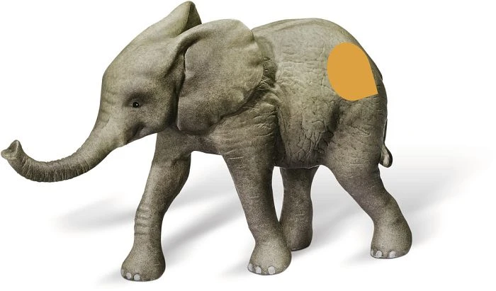 Ravensburger tiptoi Spielfigur: Afrikanisches Elefantekalb