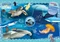 Clementoni National Geographic Kids Ocean Explorer Vorschaubild