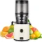 Hurom H330P Slow Juicer Vorschaubild