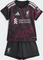 adidas Liverpool FC Mini 2026/2027 Ausweichausrüstung kurzarm (Junior) Vorschaubild