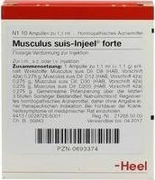 Heel Musculus suis-Injeel Ampullen