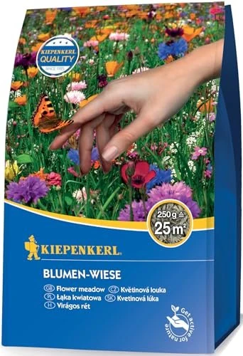Kiepenkerl Blumen-Wiese Saatgut, 250g