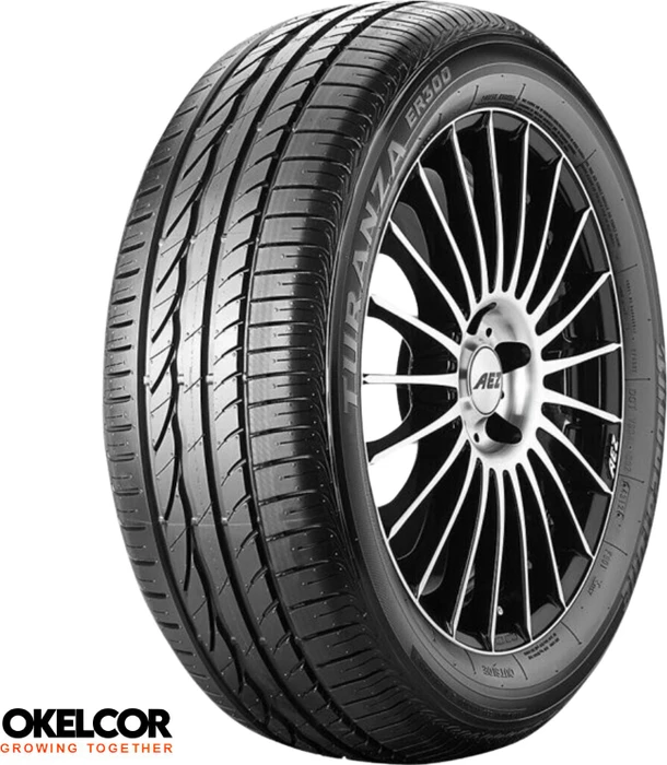 Bridgestone Turanza ER300 205/55 R16 91H