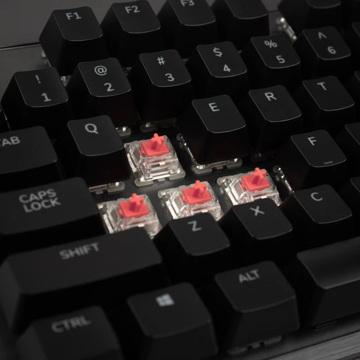 Mountain Everest Core, TKL, LEDs RGB, Gunmetal Gray, MX SILENT RGB RED, USB, US
