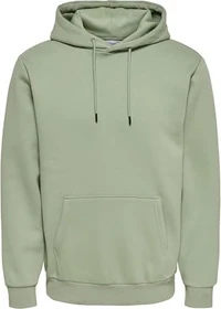 ONLY & SONS Ceres Hoodie iceberg green (Herren)