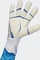adidas Predator Pro Torwarthandschuhe white/hi-res blue Vorschaubild