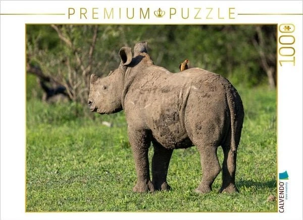 Calvendo Kleines Breitmaulnashorn mit Madenhacker in Südafrika