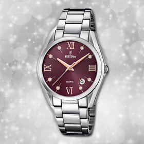 Festina F16790/E