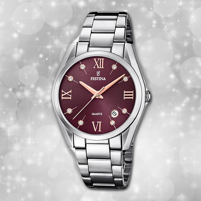 Festina F16790/E