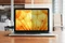 3M BP156W9B Notebook Bright Screen Privacy Filter 15.6" 16:9 Vorschaubild