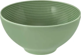 Seltmann Weiden Beat Color Glaze Schüssel 15.7cm salbeigrün