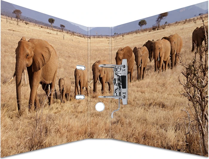 Herma Ordner 2-Ring mit Motiv, 70mm, A4, Animals Afrika (7168) – Bild 3 von 3