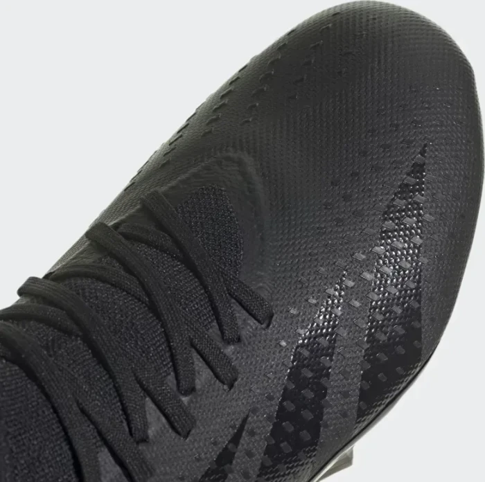 adidas Predator Accuracy.3 FG core black/cloud white