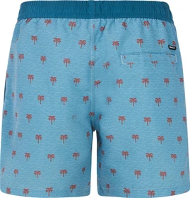 Protest Parco Badeshorts dusty blue (Herren)