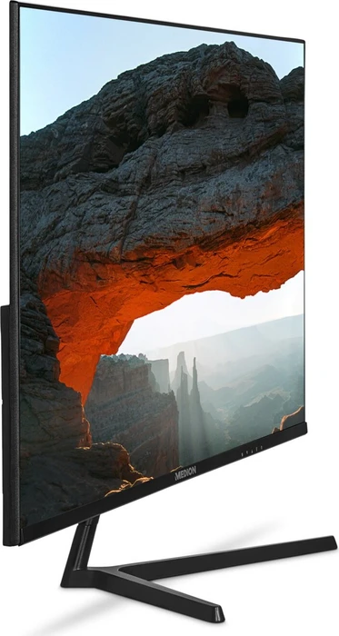 Medion P52218, 22"