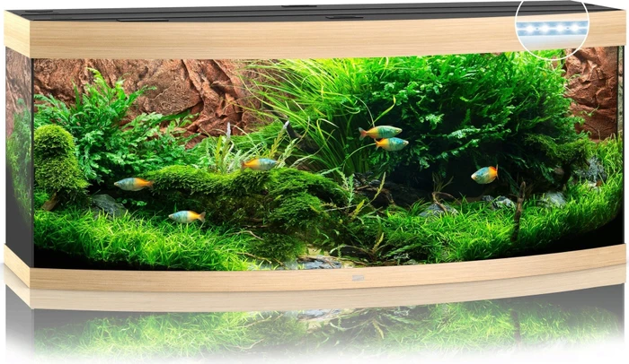 Juwel Vision 450 LED Aquarium-Set, helles Holz, 450l (10860)