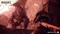 Wild Hearts (Xbox SX) Vorschaubild