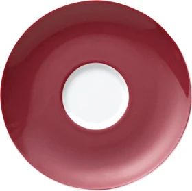 Thomas Sunny Day Colours Kaffee-/Tee-/Kombi-Untertasse 14.5cm fuchsia
