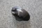 Logitech G602 Wireless Gaming Mouse, USB Vorschaubild