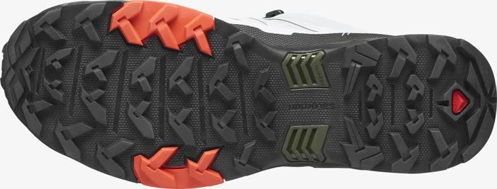Salomon X Ultra 4 GTX lunar rock/black/cherry tomato (Herren)
