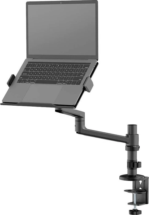 Neomounts Tischhalterung, Notebook-Halterung 11.6-17.3", schwarz