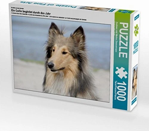 Calvendo Ein Motiv aus dem Kalender Ein Collie begleitet durch das Jahr