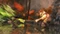Guild Wars 2 (Download) (MMOG) (PC) Vorschaubild