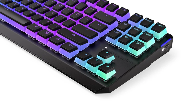 Endorfy Thock TKL Wireless Pudding, PBT, LEDs RGB, hot-swap, Kailh Box RED, USB/Bluetooth, US