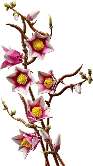 LEGO Botanicals - Magnolienzweige