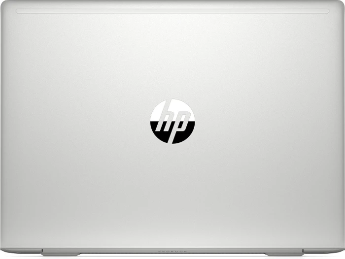HP ProBook 445 G7, Pike Silver, Ryzen 5 4500U, 8GB RAM, 256GB SSD, DE