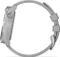 Garmin Approach S40 GPS-Golfuhr grau Vorschaubild
