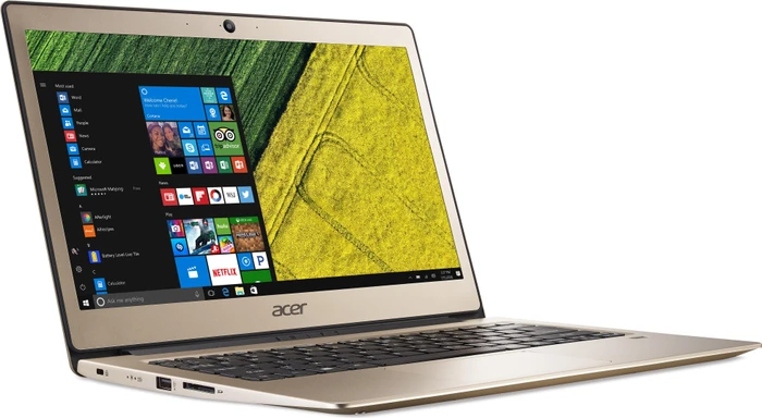 Acer Swift 1 SF113-31-P1YS, gold, Pentium N4200, 4GB RAM, 64GB Flash, DE