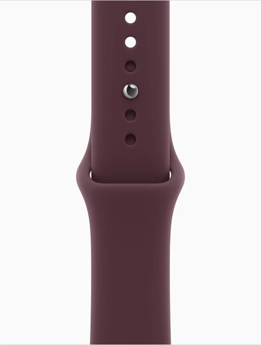 Apple Watch Series 12 (GPS + Cellular) 42mm Titan brillantgold mit Sportarmband M/L burgunder