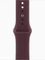 Apple Watch Series 12 (GPS + Cellular) 42mm Titan brillantgold mit Sportarmband M/L burgunder Vorschaubild