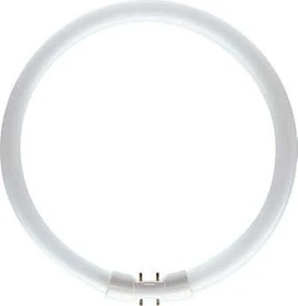 Philips Master TL5 Circular 22W/841 1CT/10 2GX13