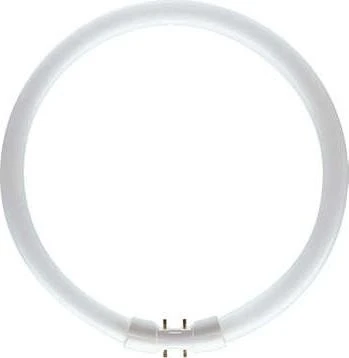 Philips Master TL5 Circular 22W/841 1CT/10 2GX13