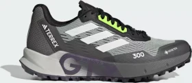 adidas Terrex Agravic Flow 2.0 GTX wonder silver/crystal white/lucid lemon (Damen)