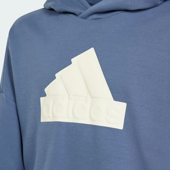 adidas Future Icons Logo Hoodie preloved ink/ivory (Junior)