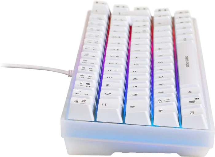 Deltaco Gaming WK70 Mini, 60%, weiß, LEDs RGB, semi-transparent, USB, ND