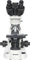 Bresser BioScience Trino 40x-1000x Vorschaubild