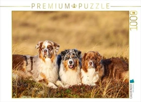 Calvendo Ein Motiv aus dem Kalender Mit Aussies unterwegs - Die bunte Welt der Australian Shepherds