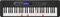 Casio LK-S450 Vorschaubild