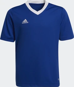 adidas Entrada 22 Trikot kurzarm royal blue (Junior)