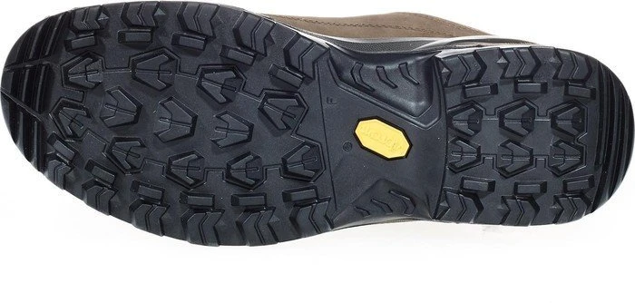 Lowa Renegade GTX Lo oliv (Herren)