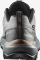 Salomon X Ultra 360 GTX sedona sage/urban chic/etherea (Damen) Vorschaubild
