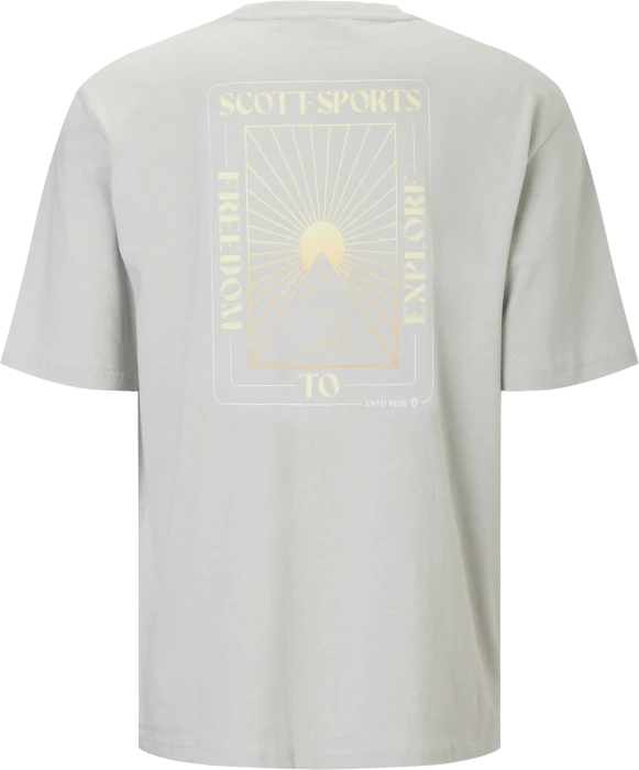 Scott Graphic T-Shirt kurzarm spray grey (Herren)