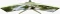 Arozzi Nova 34T2K165, Forest Green, 34" Vorschaubild