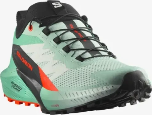 Salomon Sense Ride 5 bay/black/cherry tomato (Damen)